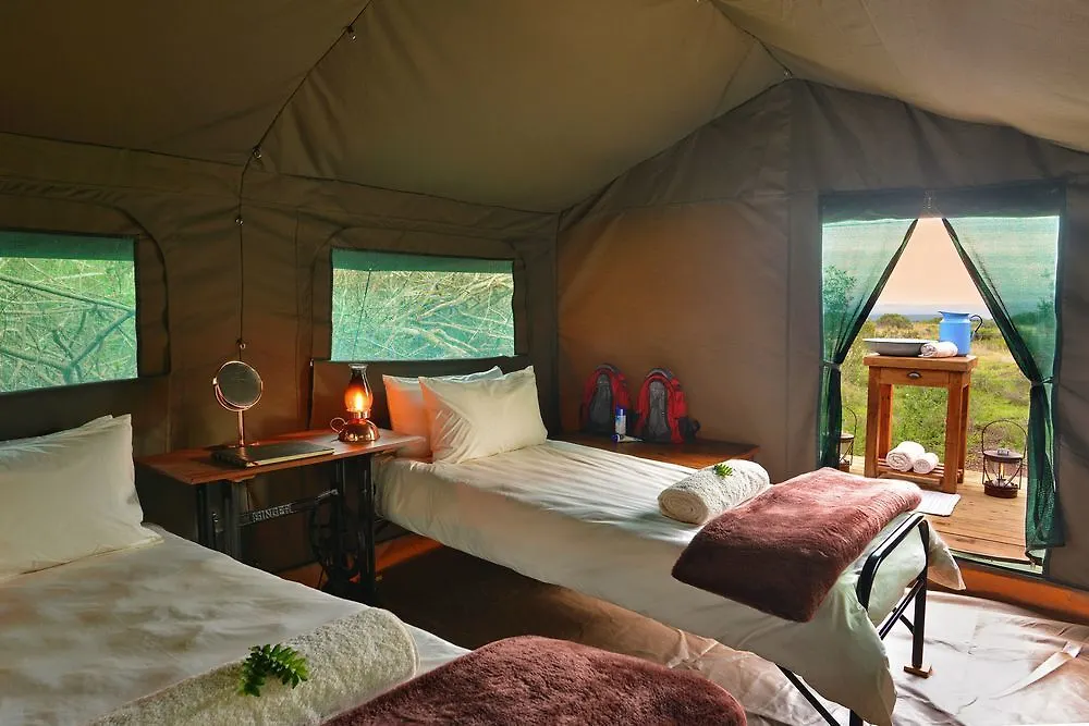 Apartment Shamwari Game Reserve Port Elizabeth South Africa