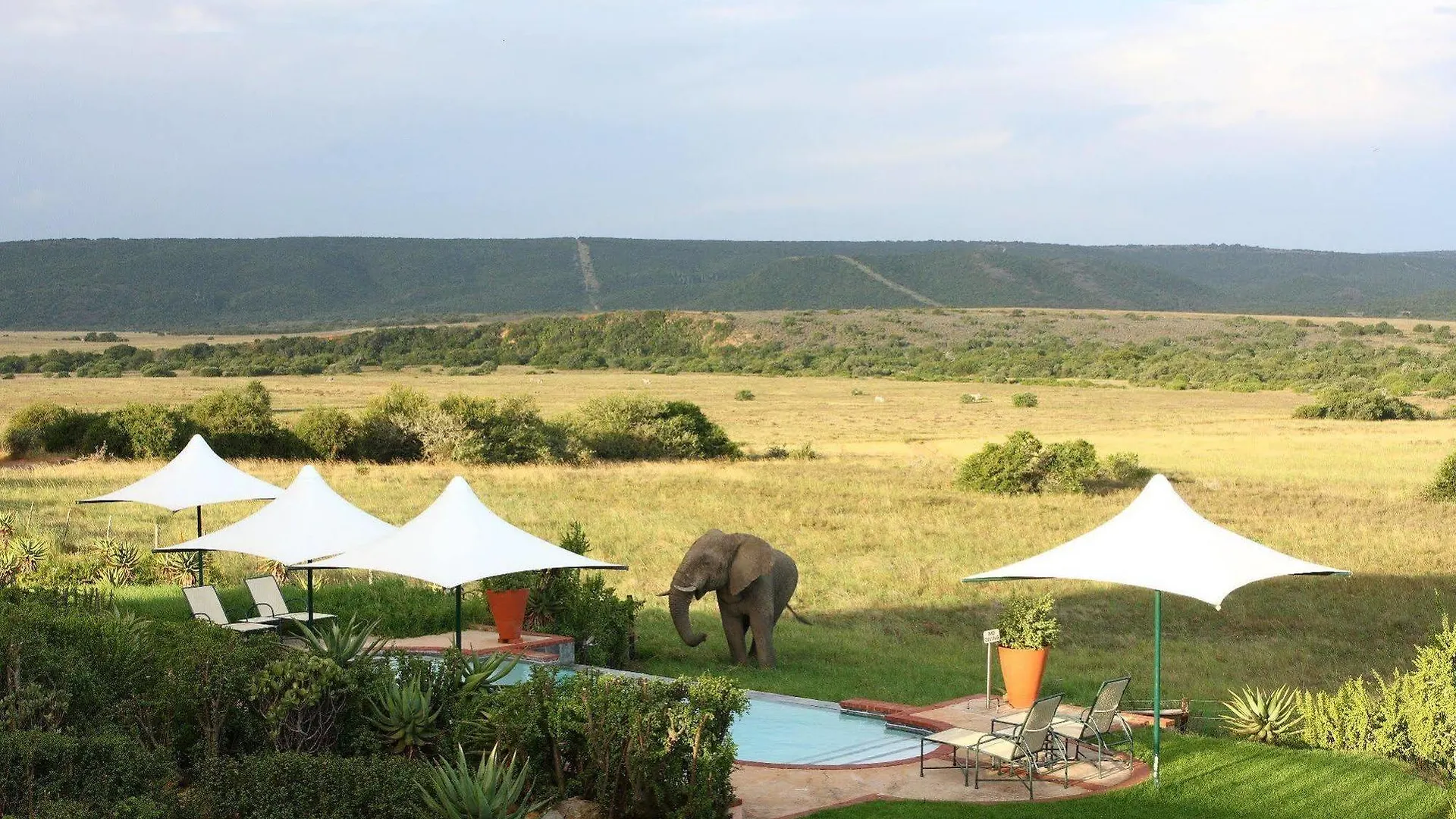 Shamwari Game Reserve Port Elizabeth Apartment