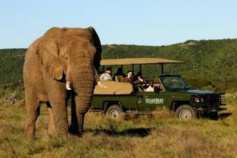 Shamwari Game Reserve Port Elizabeth Apartment