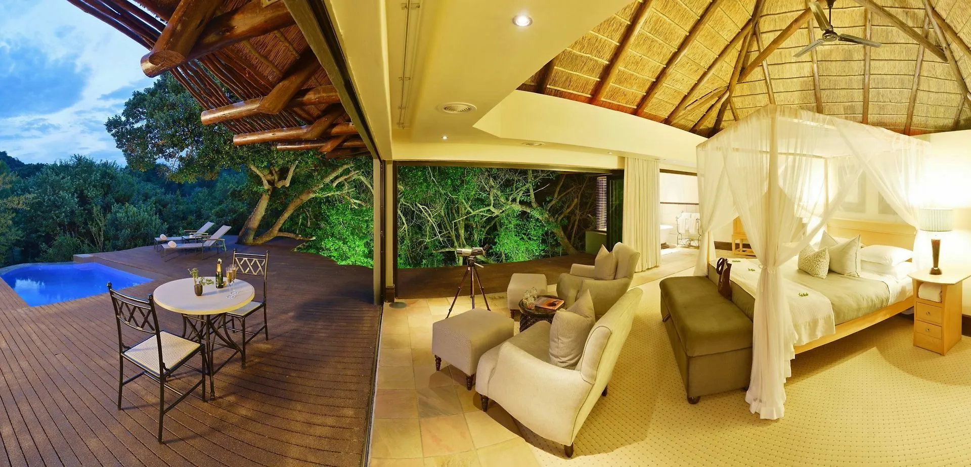 Shamwari Game Reserve Port Elizabeth South Africa