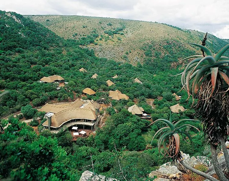 Shamwari Game Reserve Port Elizabeth