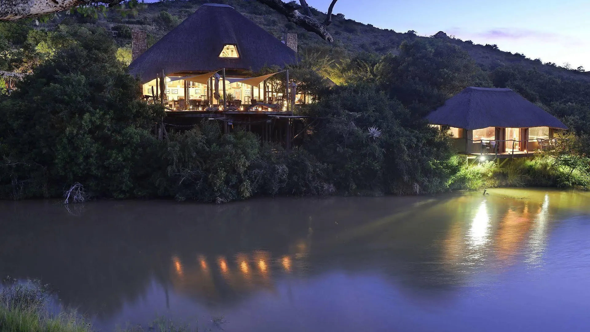 Shamwari Game Reserve Port Elizabeth South Africa
