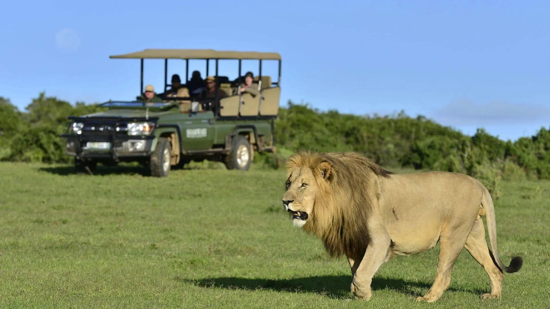 Shamwari Game Reserve Port Elizabeth Apartment