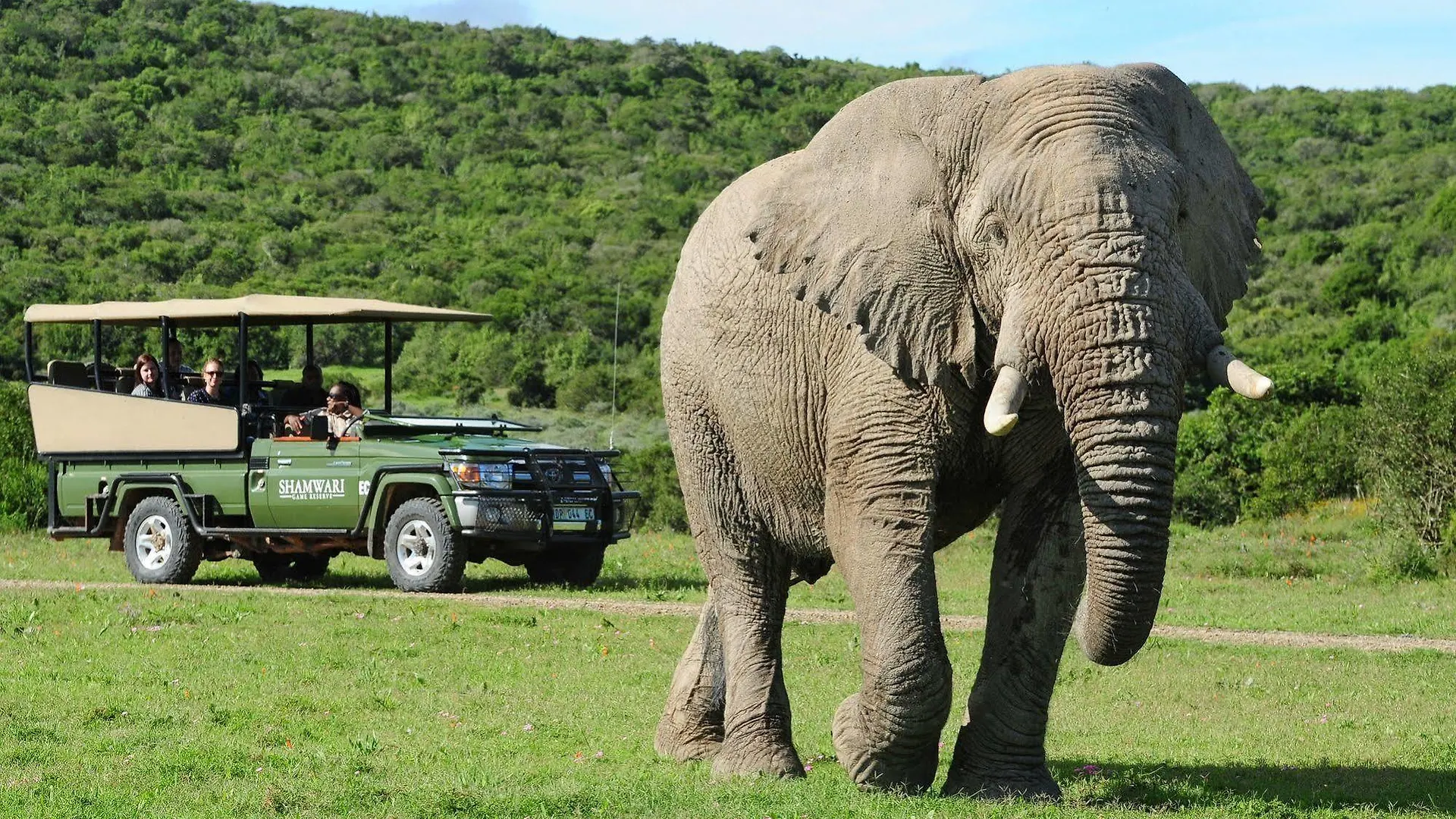Apartment Shamwari Game Reserve Port Elizabeth