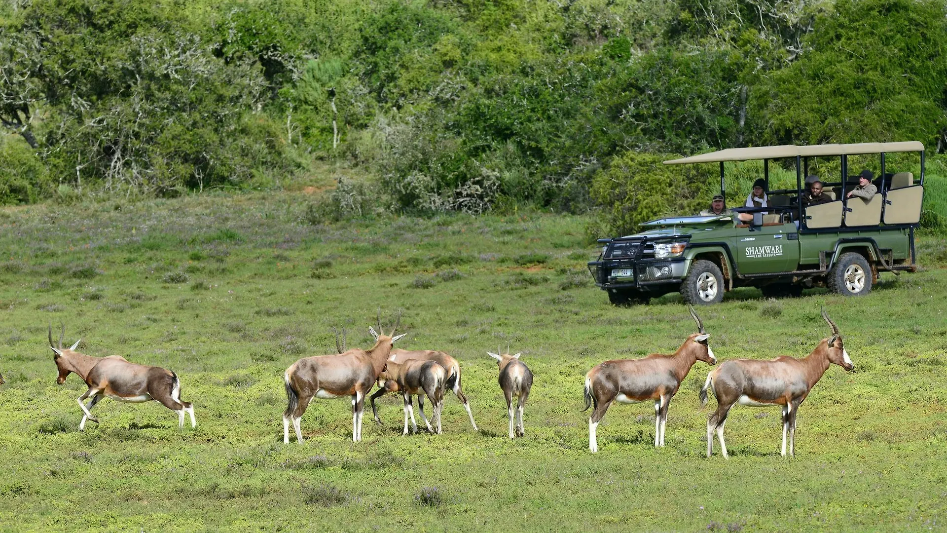 Apartment Shamwari Game Reserve Port Elizabeth