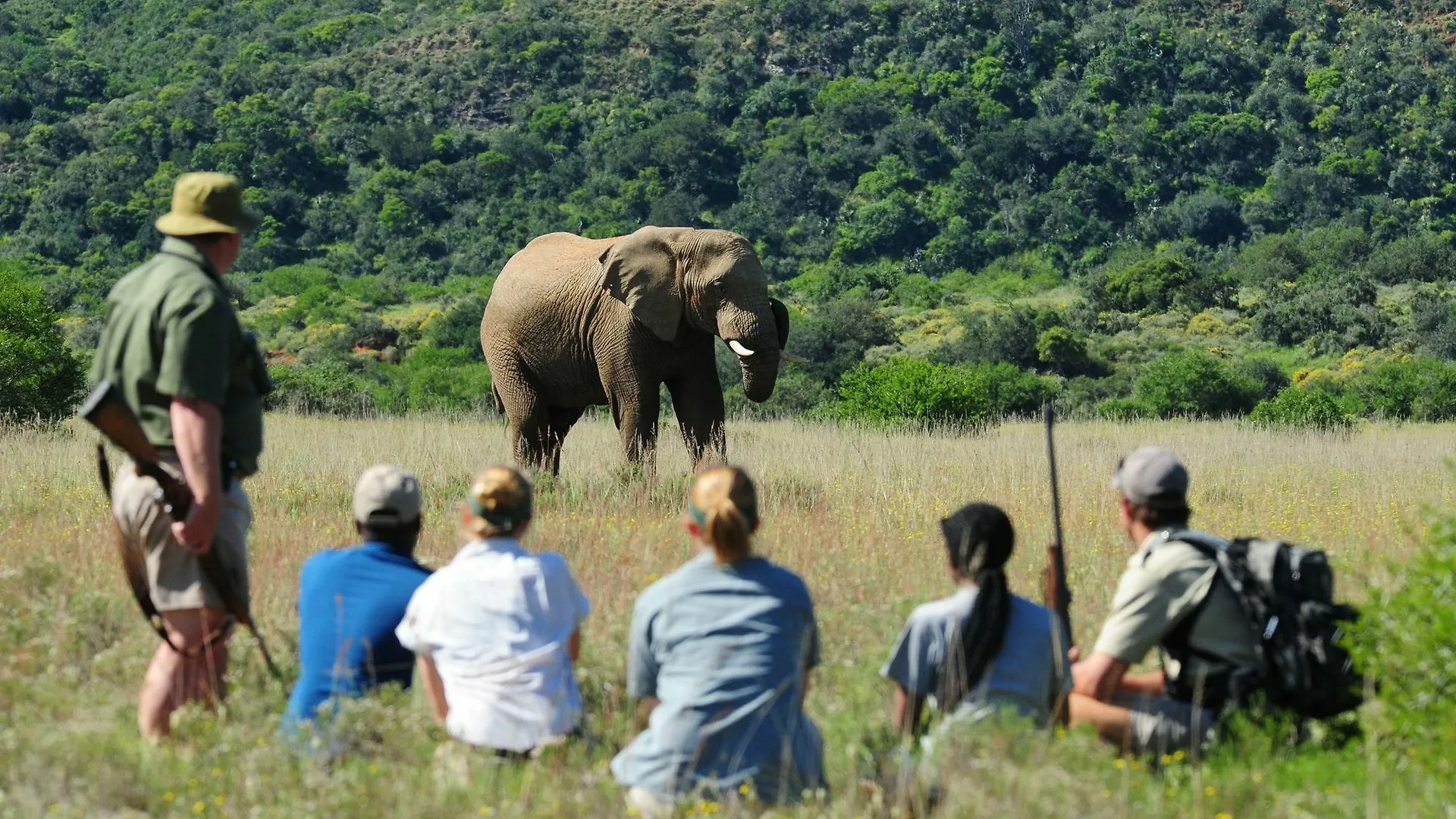 Shamwari Game Reserve Port Elizabeth South Africa
